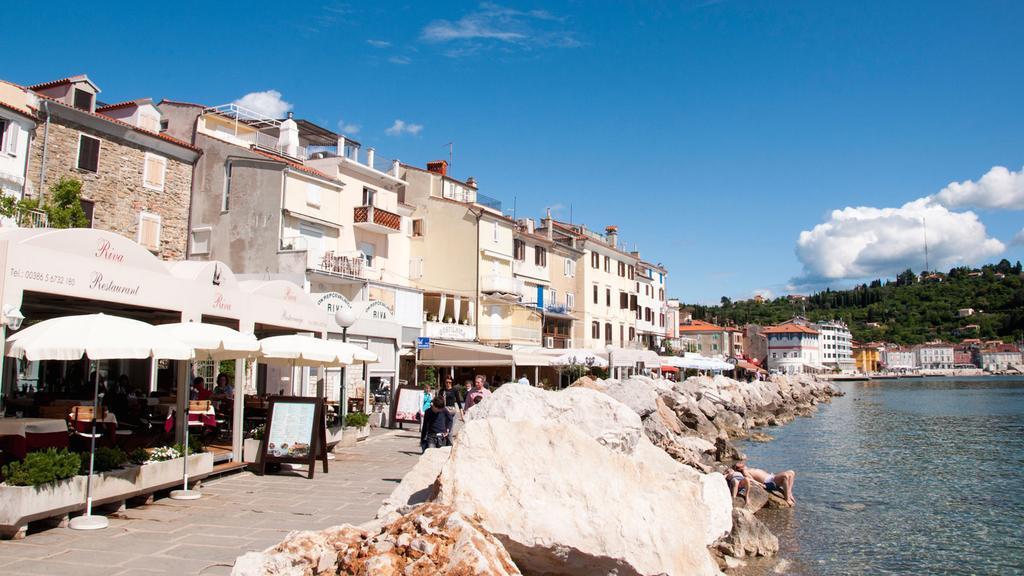 Apartament & Riva *